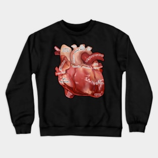 Anatomy of the  Human Heart Crewneck Sweatshirt